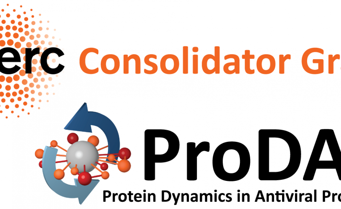 Protein Dynamics in Antiviral Processes: ERC Consolidator Grant
